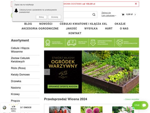 Cebule.pl sprzedaż cebul kwiatowych