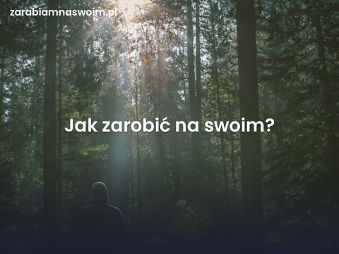 Zarabiamnaswoim.pl