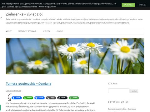Zielarenka.pl - blog o ziołach, zioła w alergii