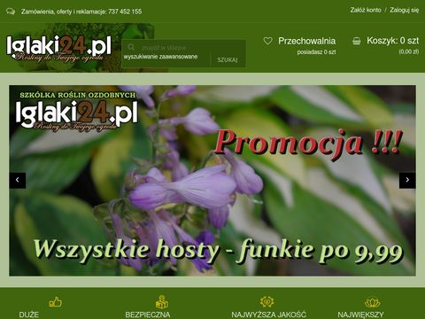 Iglaki24.pl - internetowy sklep ogrodniczy