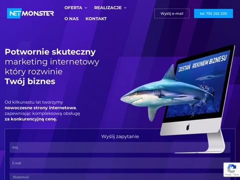 Netmonster.pl - pozycjonowanie